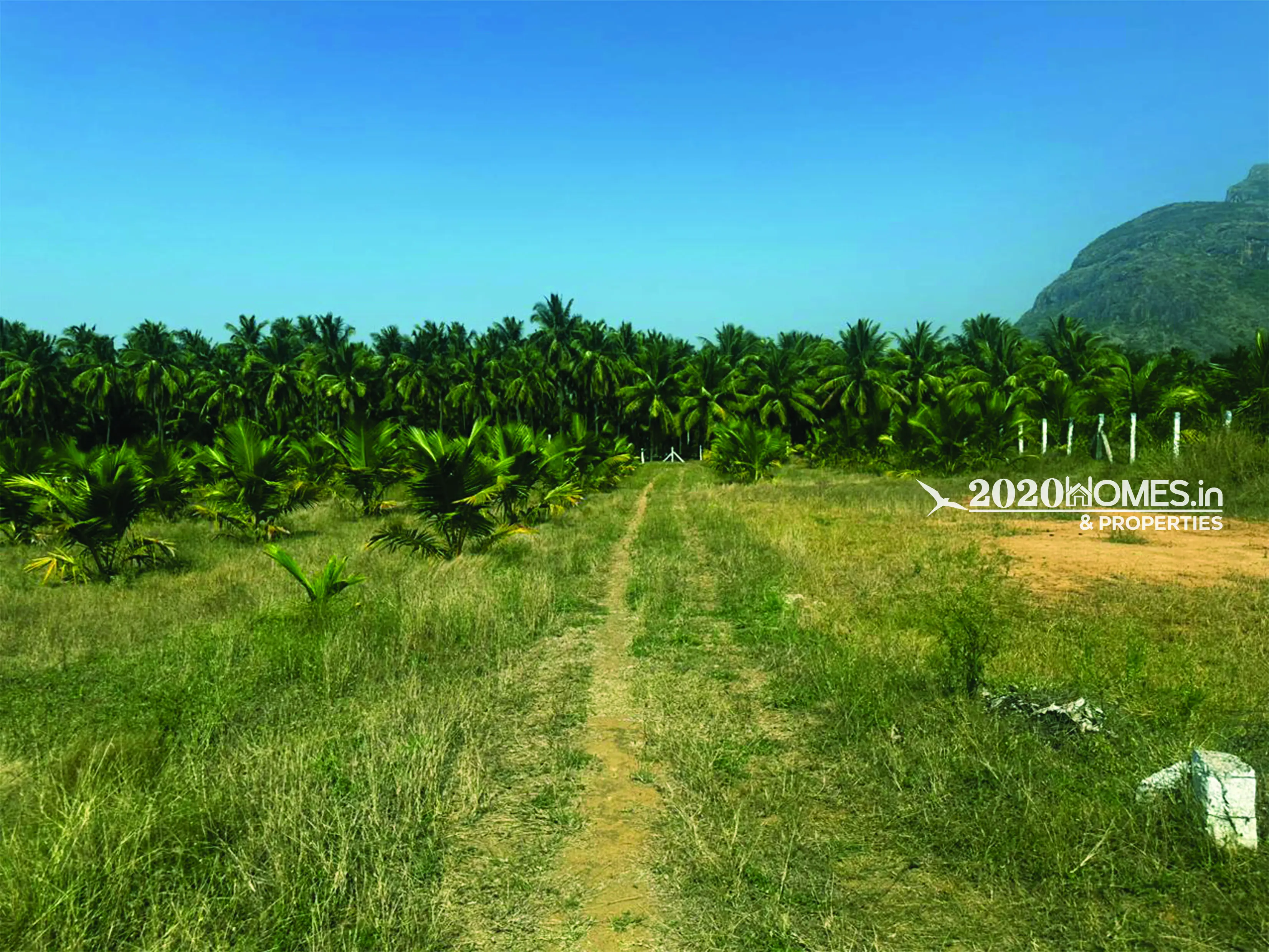 Angalakurichi GopalSwamy